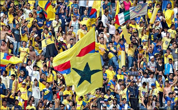 images - 2024-02-08T164343.381