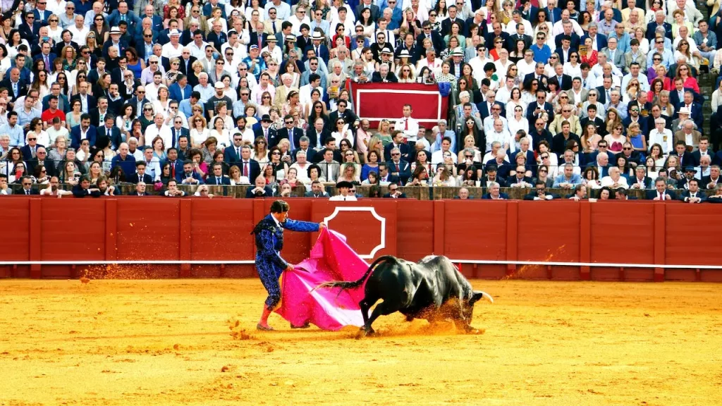 toro-torero-lidia-tauromaquia-feria-fiesta-brava-1024x576