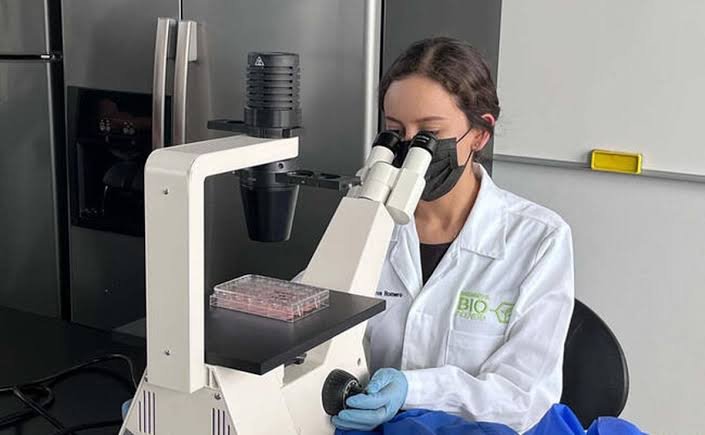 images-2024-04-18T175232.612