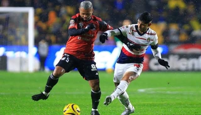 images - 2024-08-20T170833.627