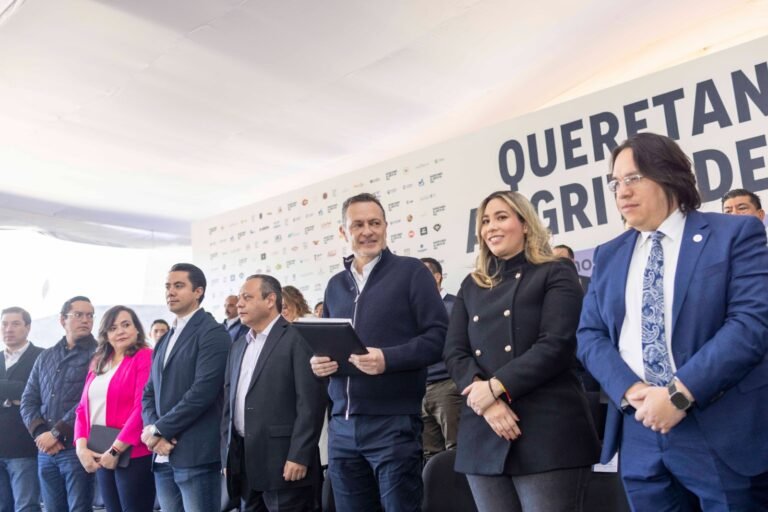 IMG-20241127-WA0056(2)