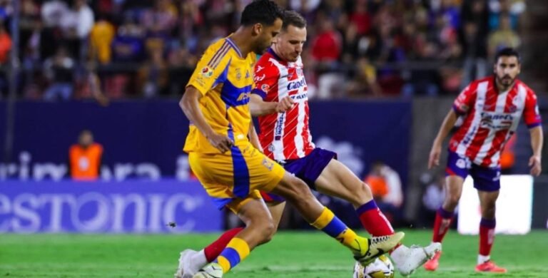 nota_17329282369572_726