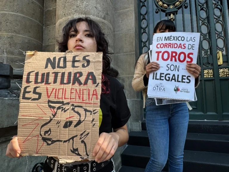 concluyen-foros-sobre-prohibicion-de-corridas-de-toros-en-cdxm-891html-toritosjpg-5576html-e0a2a22b-4f4c-4a5d-9bfa-040532c93f35.jpgljnimgndimage=fullsize