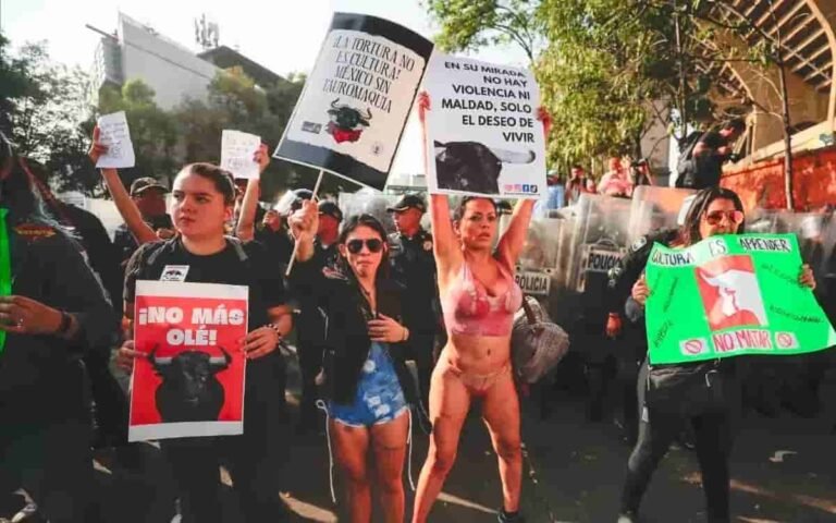jueza-prohibe-usar-instrumentos-maltraten-toros-corridas-maltrato-animal-dano-fisico-psicologico-benito-juarez-26022025