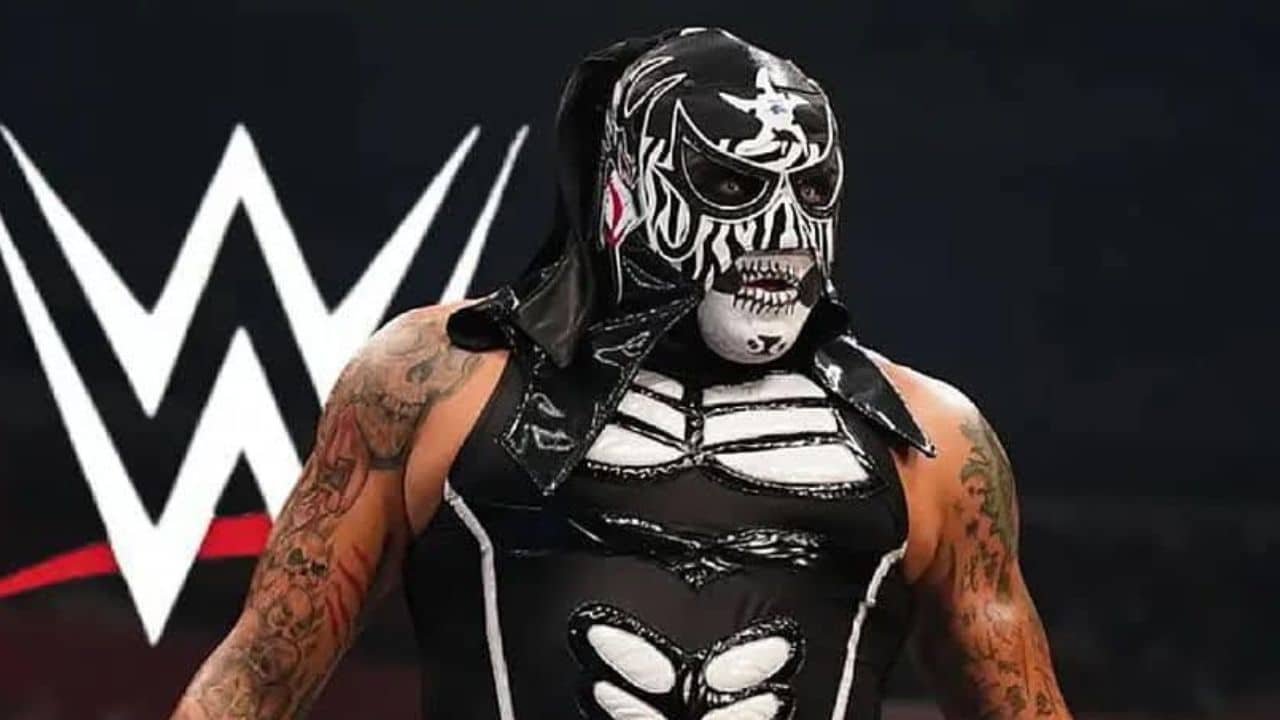 los-despidos-en-wwe