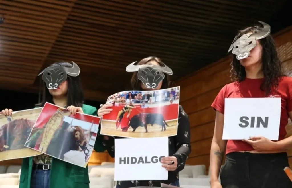 presentan-iniciativa-para-prohibir-corridas-de-toros-en-hidalgo_faf185ba-3442-4f4a-9b81-559a5f04e989_medialjnimgndimage=fullsize