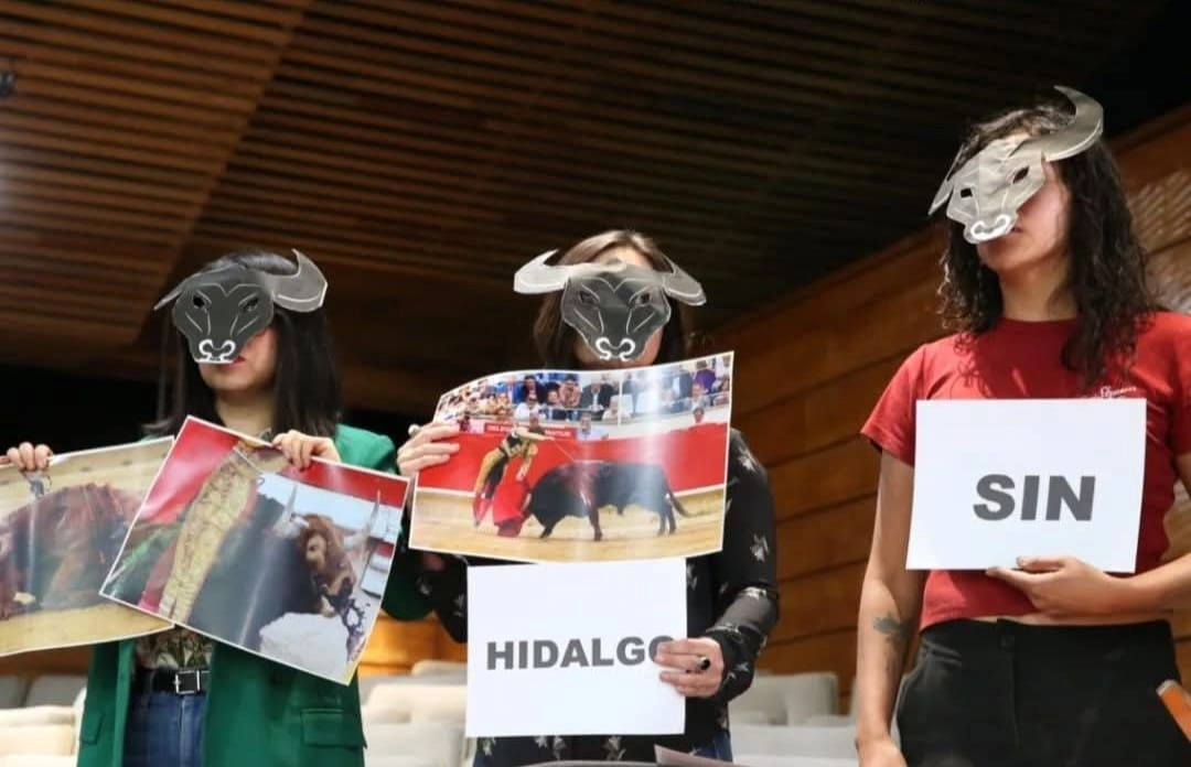 presentan-iniciativa-para-prohibir-corridas-de-toros-en-hidalgo_faf185ba-3442-4f4a-9b81-559a5f04e989_medialjnimgndimage=fullsize