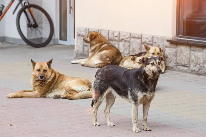 images - 2025-04-22T131719.992