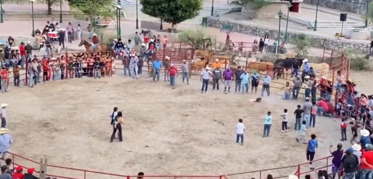 pobladores-de-guanajuato-torturaron-gatos-para-divertirse-en-una-feria_83623c03-76cb-4c96-976c-89be09222dc1_medialjnimgndimage=fullsize
