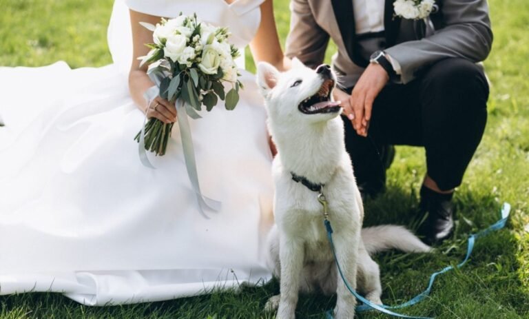 novios_perro-1160x700-1