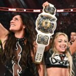 tablet141805-wwe-tag