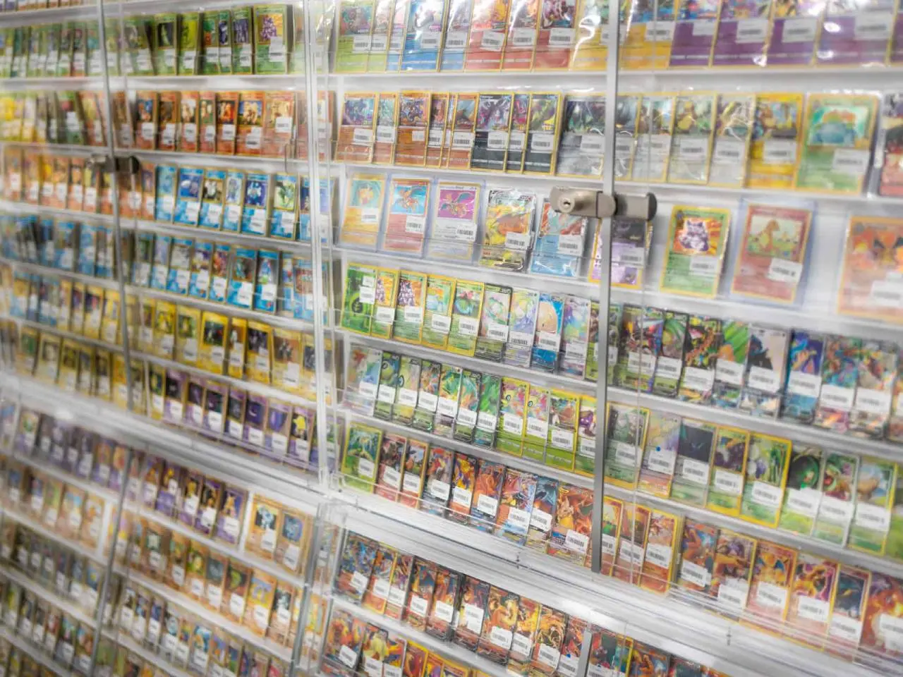 pokemoncardshop2