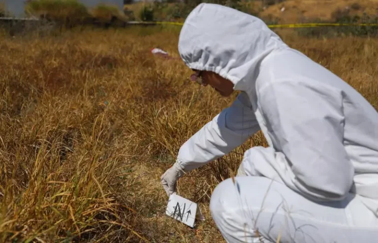 IMG-20250804-WA0006-1200x772