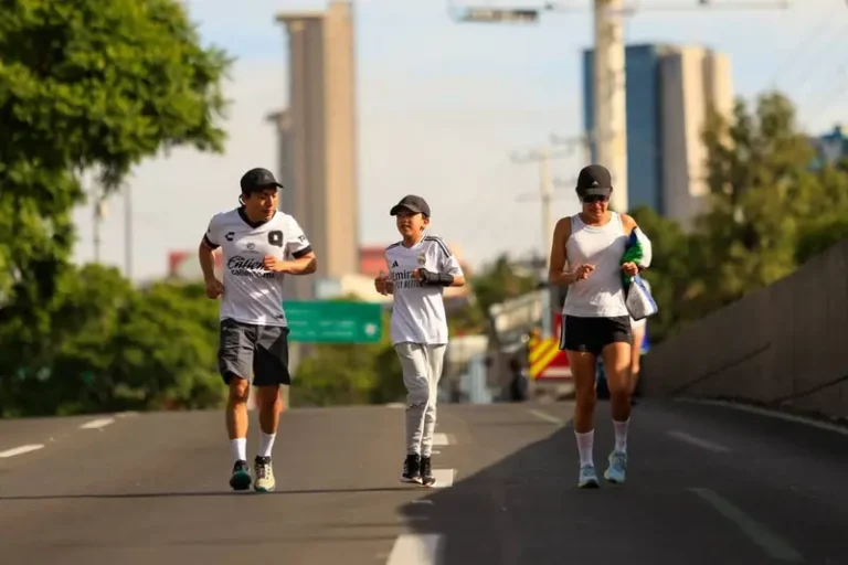 IMG-20250805-WA00991-1200x800