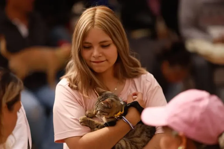 IMG-20250816-WA0023-1200x800