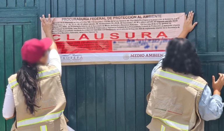 clausura-profepa-fraccionamiento-ilegal-en-corregidora-queretaro_636f43a3-c8db-4110-9a33-6affa93b7813_medialjnimgndimage=fullsize