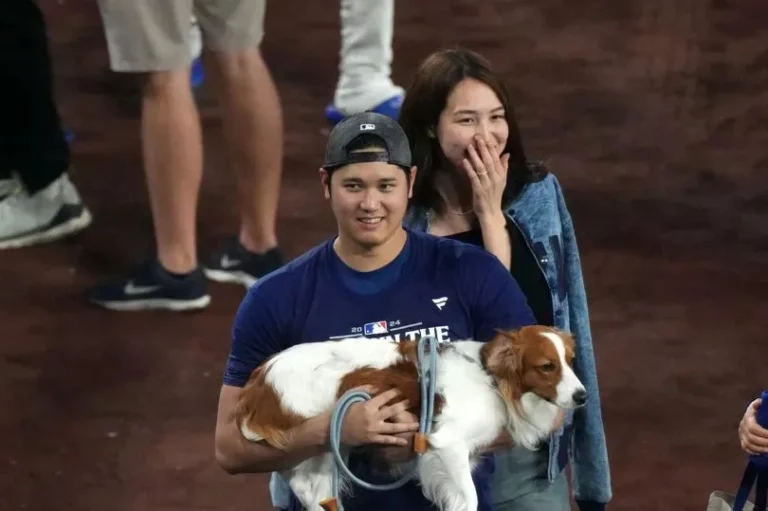 03f49492848b1c9a29992dd2f63efa11