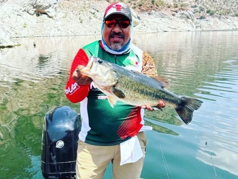 IMG-20251104-WA0122~2