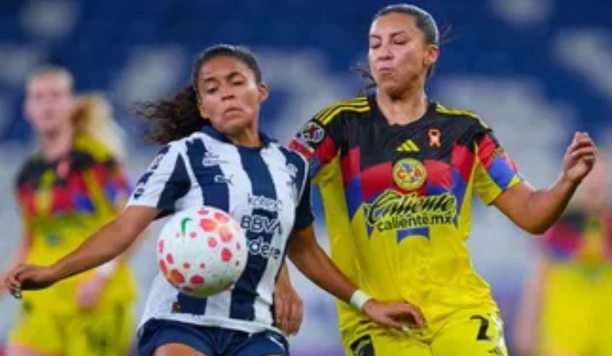 Screenshot_20251106-223632~2