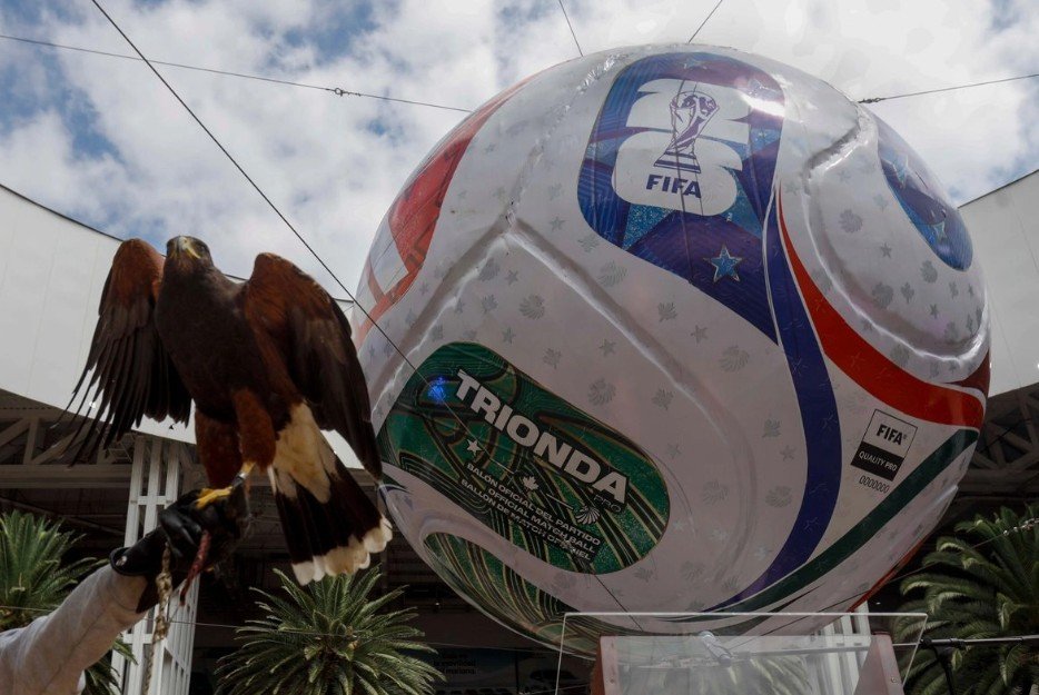 Screenshot_20251111-111336~2