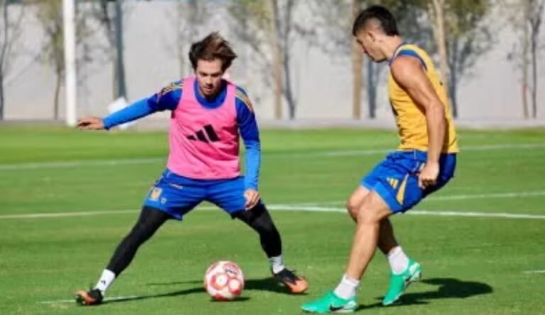 Screenshot_20251114-130009~2