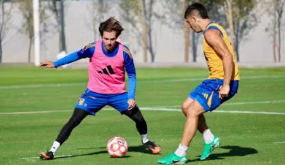 Screenshot_20251114-130009~2