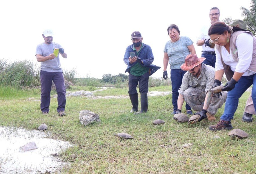 Screenshot_20251116-224847~2