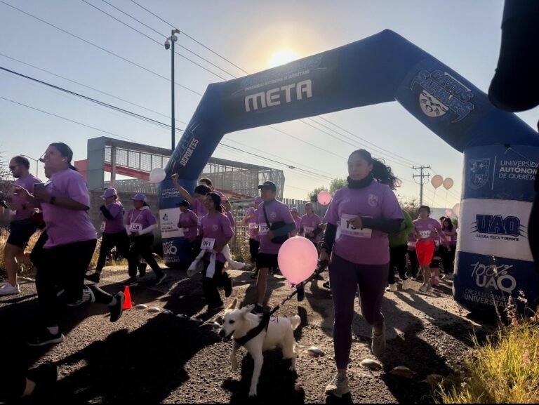 Screenshot_20251118-100724~2