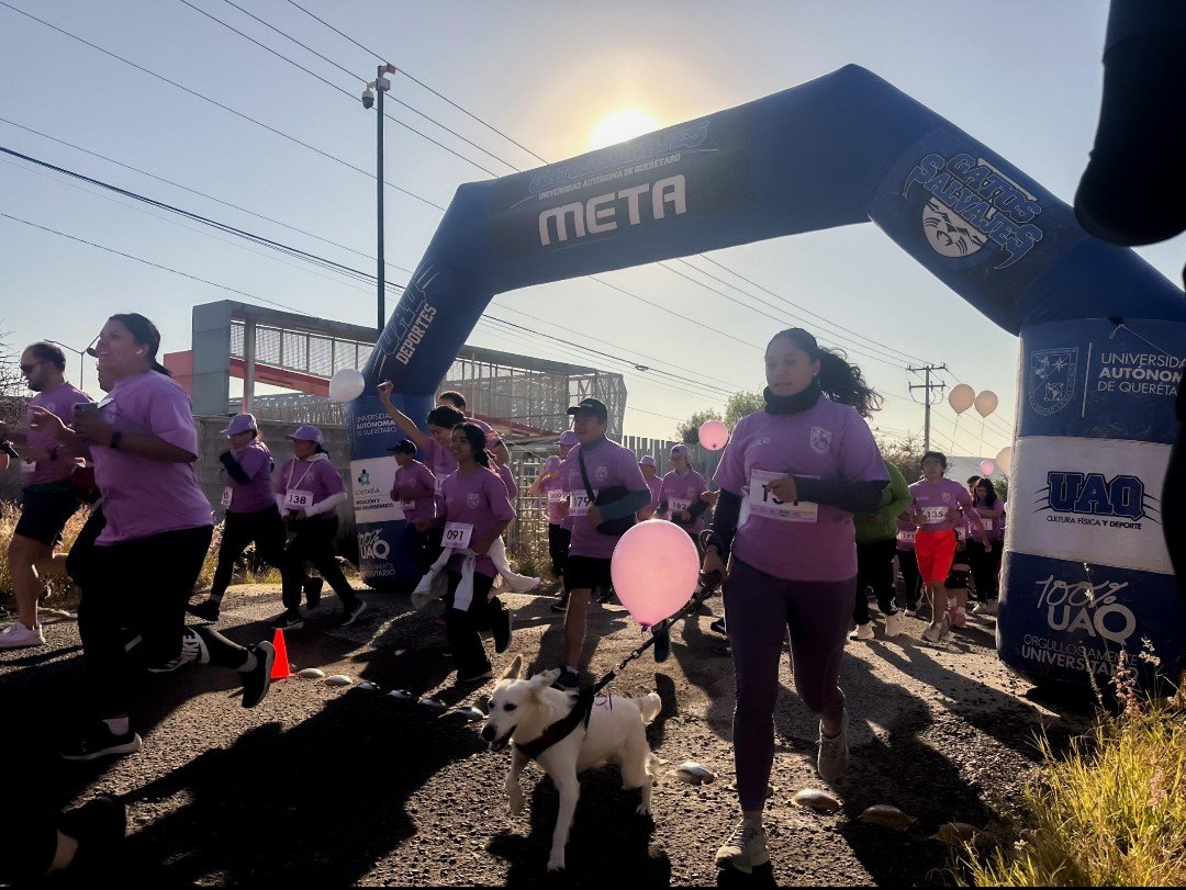 Screenshot_20251118-100724~2