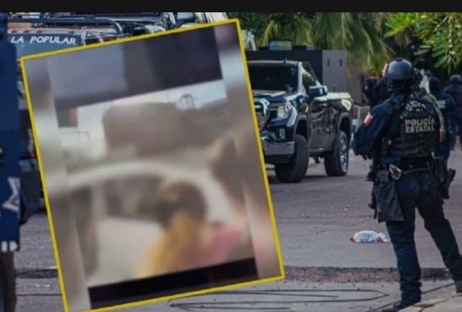 Screenshot_2026-01-22-11-33-54-82_40deb401b9ffe8e1df2f1cc5ba480b12~2