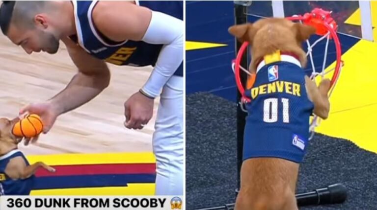 Screenshot_2026-01-22-12-00-00-31_40deb401b9ffe8e1df2f1cc5ba480b12~2