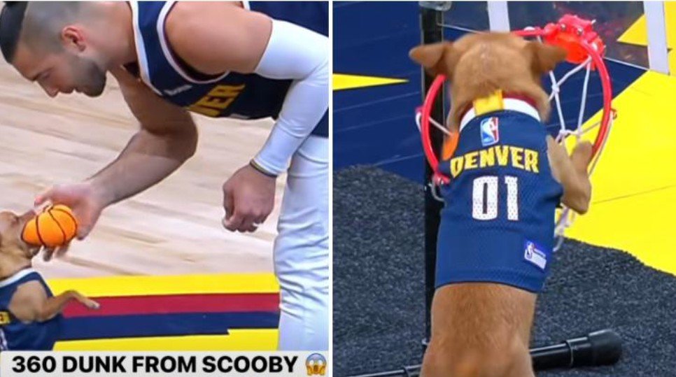 Screenshot_2026-01-22-12-00-00-31_40deb401b9ffe8e1df2f1cc5ba480b12~2