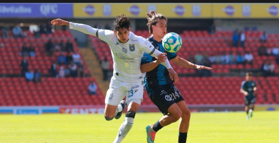 Screenshot_2026-01-27-21-18-20-13_40deb401b9ffe8e1df2f1cc5ba480b12~2