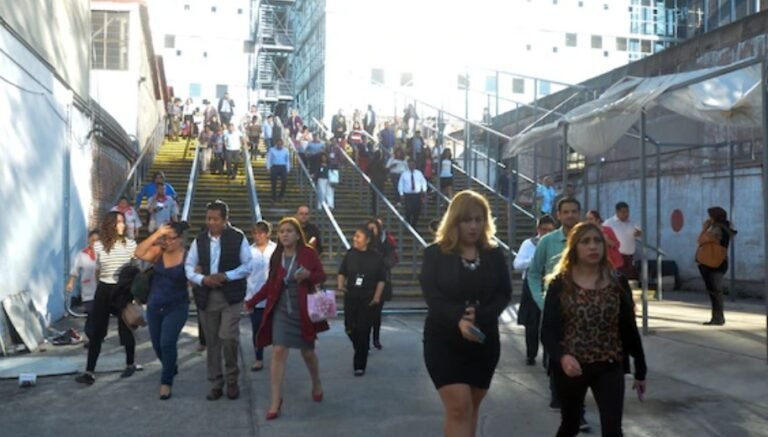 Screenshot_2026-01-31-17-51-25-07_40deb401b9ffe8e1df2f1cc5ba480b12~2