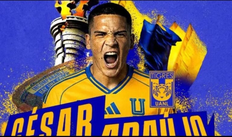 Screenshot_2026-02-03-09-15-19-60_965bbf4d18d205f782c6b8409c5773a4~2