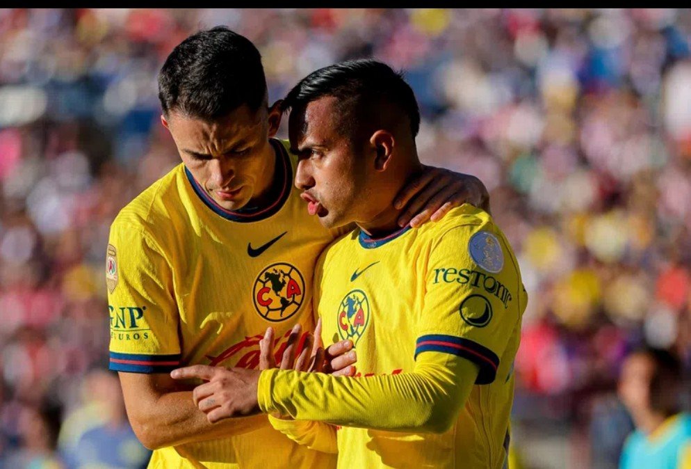 Screenshot_2026-02-03-09-18-46-25_965bbf4d18d205f782c6b8409c5773a4~2