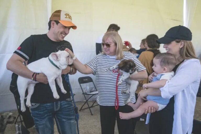 Screenshot_2026-02-03-09-51-54-38_40deb401b9ffe8e1df2f1cc5ba480b12~2