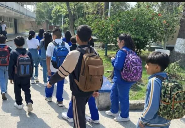 Screenshot_2026-02-20-13-10-55-21_40deb401b9ffe8e1df2f1cc5ba480b12~2