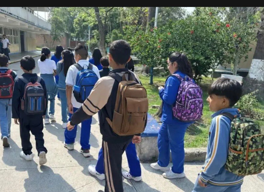 Screenshot_2026-02-20-13-10-55-21_40deb401b9ffe8e1df2f1cc5ba480b12~2