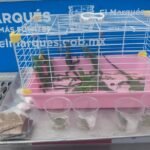 Screenshot_2026-02-24-14-29-03-08_965bbf4d18d205f782c6b8409c5773a4~2