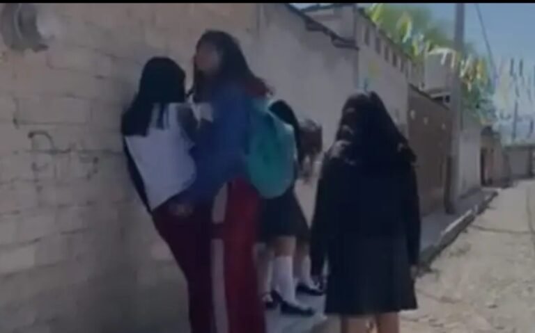 Screenshot_2026-03-14-14-19-44-11_965bbf4d18d205f782c6b8409c5773a4~2