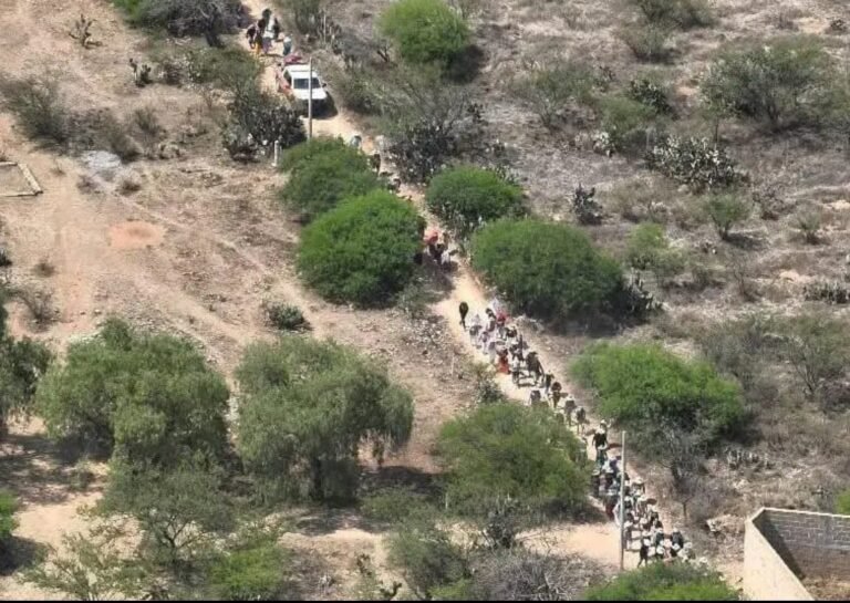 Screenshot_2026-03-15-23-19-39-54_965bbf4d18d205f782c6b8409c5773a4~2