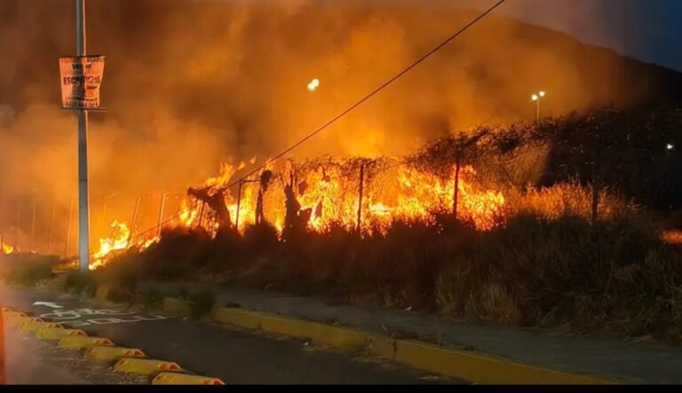 Screenshot_2026-03-24-13-13-52-05_965bbf4d18d205f782c6b8409c5773a4~2