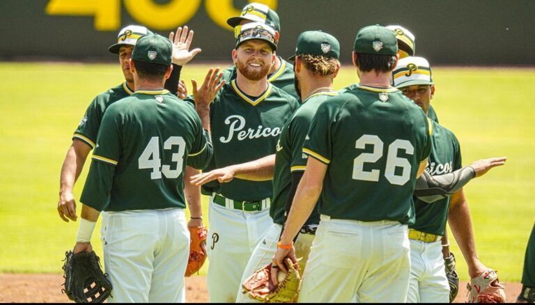 Screenshot_2026-03-28-19-56-10-25_965bbf4d18d205f782c6b8409c5773a4~2