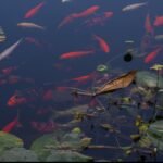 Screenshot_2026-04-05-11-16-03-17_965bbf4d18d205f782c6b8409c5773a4~2