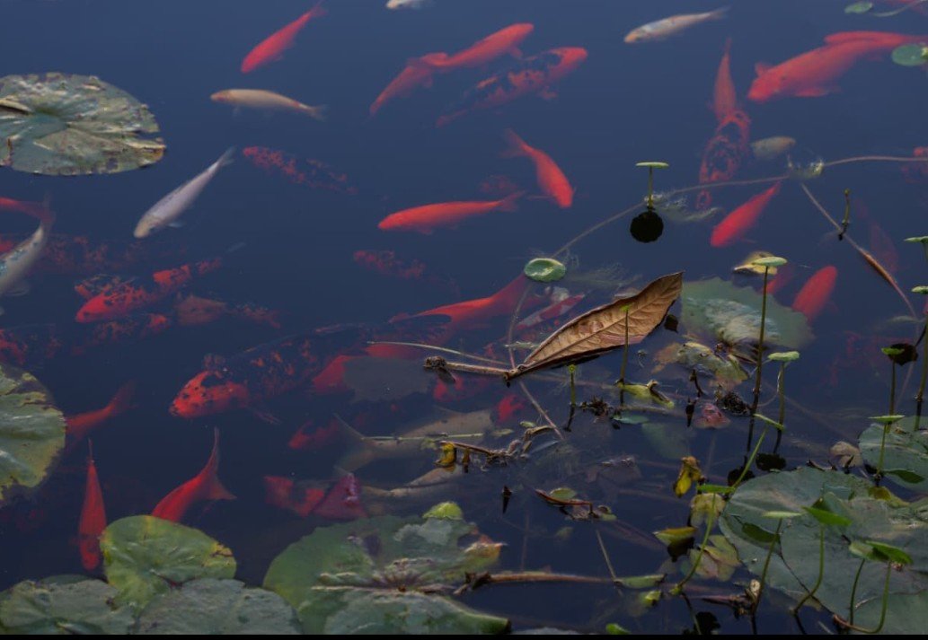 Screenshot_2026-04-05-11-16-03-17_965bbf4d18d205f782c6b8409c5773a4~2