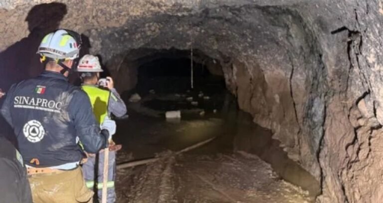 Screenshot_2026-04-05-11-21-56-57_965bbf4d18d205f782c6b8409c5773a4~2