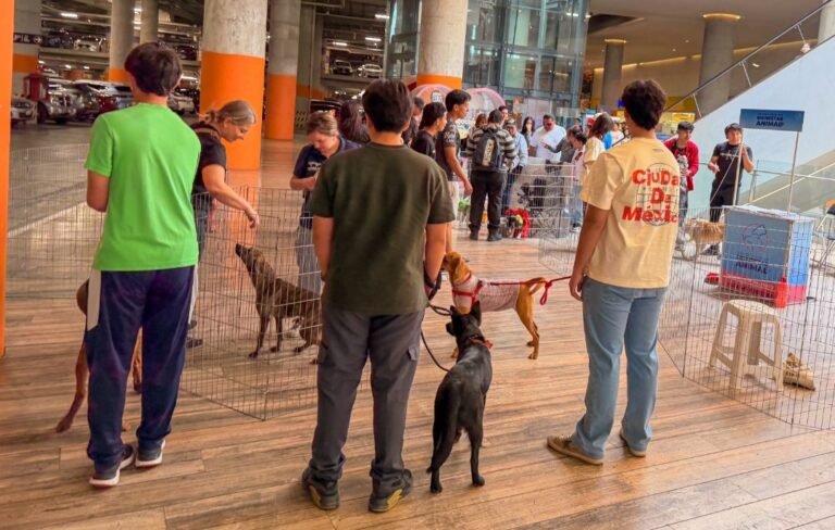 Screenshot_2026-04-10-10-38-31-55_965bbf4d18d205f782c6b8409c5773a4~2