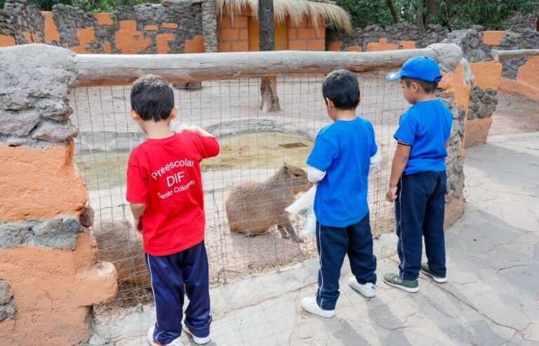 Screenshot_2026-04-15-16-29-30-48_965bbf4d18d205f782c6b8409c5773a4~2