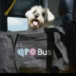 Screenshot_2026-04-16-10-04-06-80_965bbf4d18d205f782c6b8409c5773a4~2